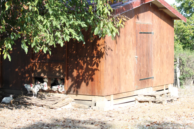 cabane-poulet-bourbonnais